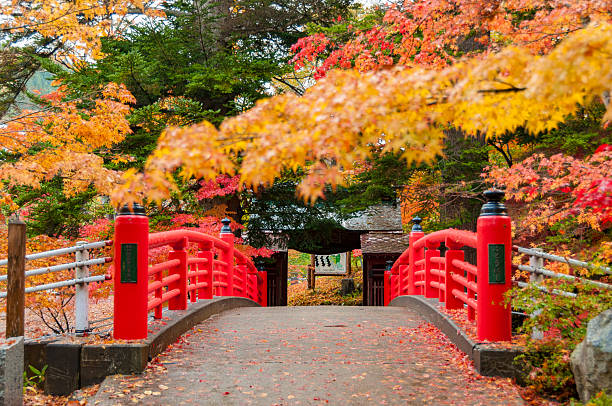 otoño en Japón momiji