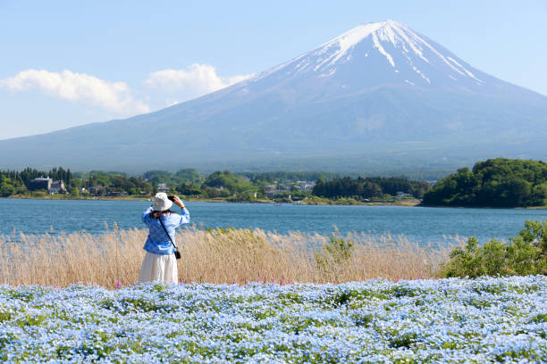 viajero disfrutando Japón