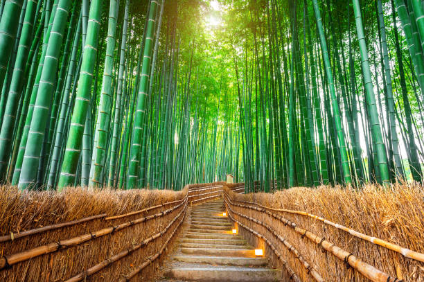 Arashiyama