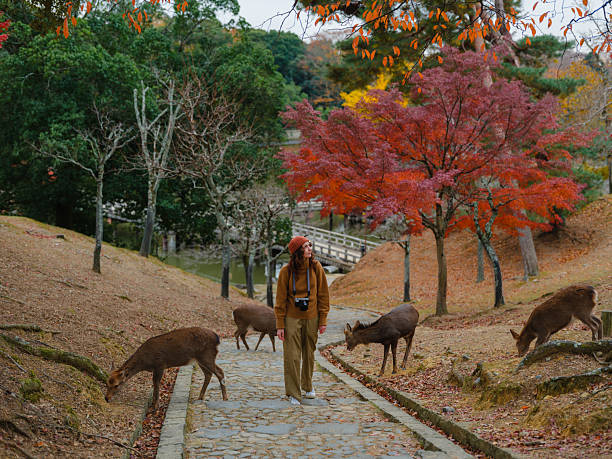 Nara excursión ruta por Japón